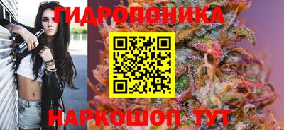 прущие грибы Ликино-Дулёво