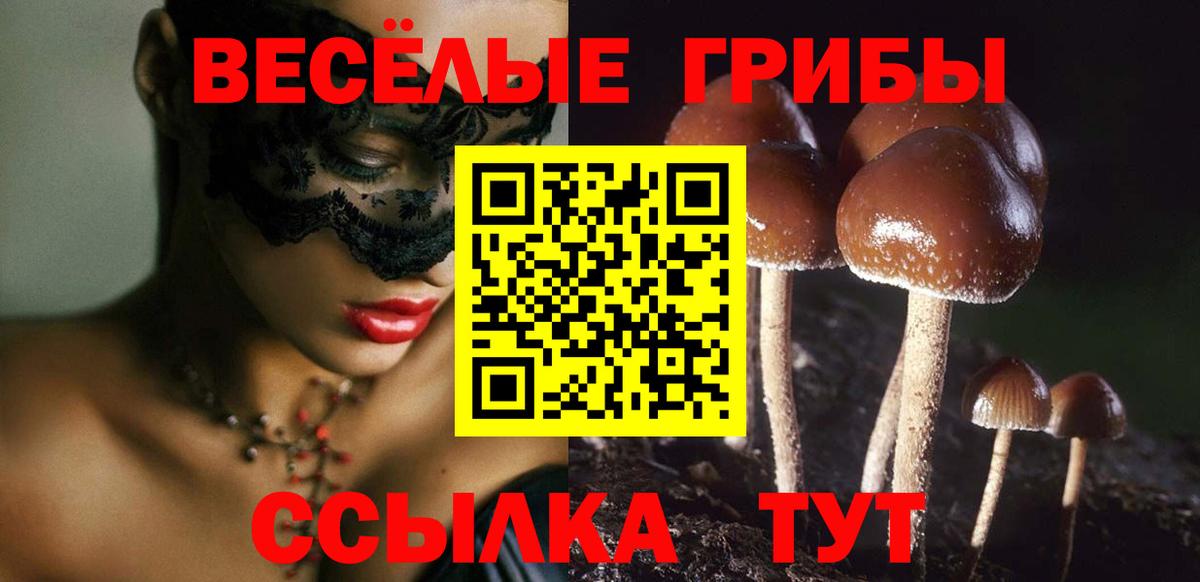 Тихорецк  Псилоцибиновые грибы MAGIC MUSHROOMS  Галлюциногенные грибы Psilocybine cubensis  Вход с VPN 